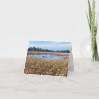 necedah sedge meadow wetlands and forest