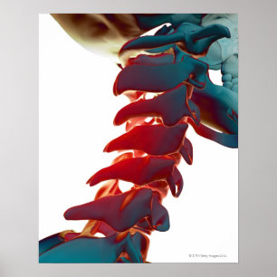 Neck Bones Poster