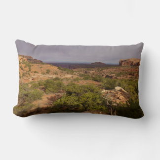 Neck Springs Trail at Canyonlands National Park Lumbar Cushion
