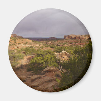 Neck Springs Trail at Canyonlands National Park Magnet
