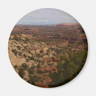 Neck Springs Trail at Canyonlands National Park Magnet