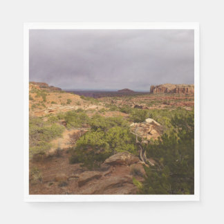 Neck Springs Trail at Canyonlands National Park Napkin