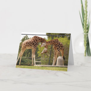 necking giraffe card