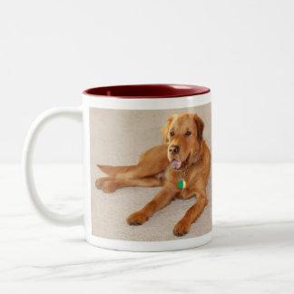 Neco Lying Down Two-Tone Coffee Mug