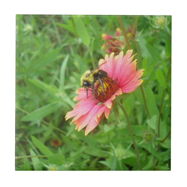 Nectar of Life Tile (Front)