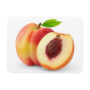 Nectarine peaches magnet