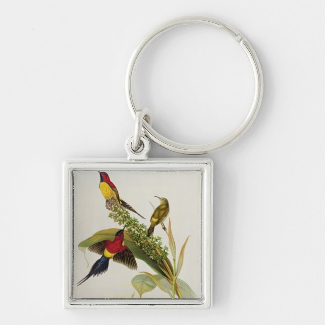 Nectarinia Gouldae Key Ring (Front)