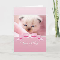 Need A Hug, Siamese Kitten, Friend Encouragement