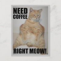 NEED COFFEE RIGHT MEOW! Manx Cat Sitting Funny