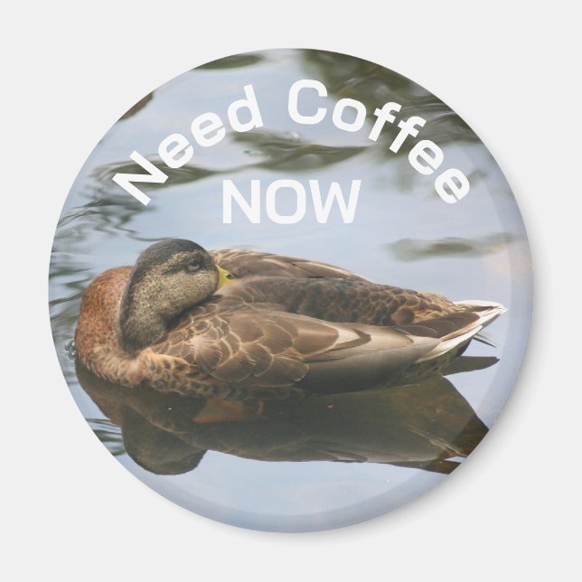 Need Coffee Sleepy Duck Funny  Magnet (Front)