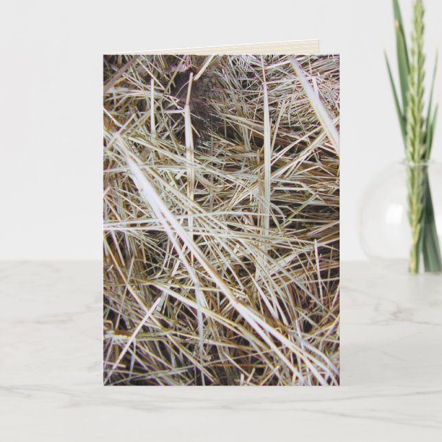 "needle in a haystack" greeting card (Front)