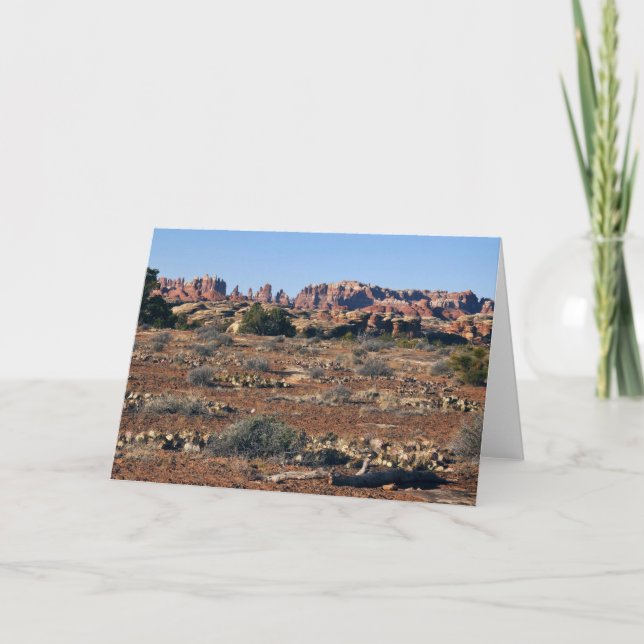 Needles from Pothole Point Trail at Canyonlands Card (Front)