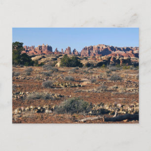 Needles from Pothole Point Trail at Canyonlands Postcard