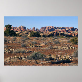 Needles from Pothole Point Trail at Canyonlands Poster