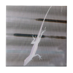 Negative image of a lizard on a window screen tile