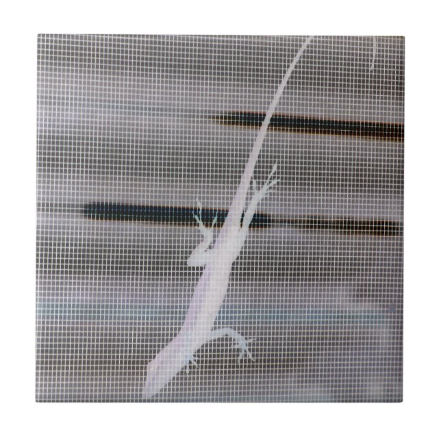 Negative image of a lizard on a window screen tile (Front)