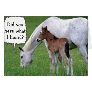 NEIGH YOU CAN'T BE "30" SAYS PONY AND HORSE