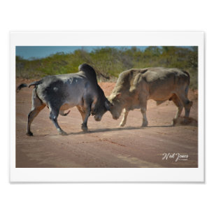 Neil Jones Photography - King of the Road. Photo Print