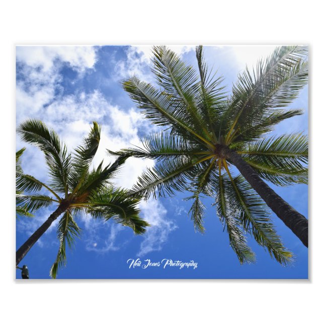 Neil Jones Photography - Palms on Waikiki Beach. Photo Print (Front)