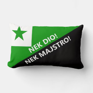 Nek dio nek majstro lumbar cushion