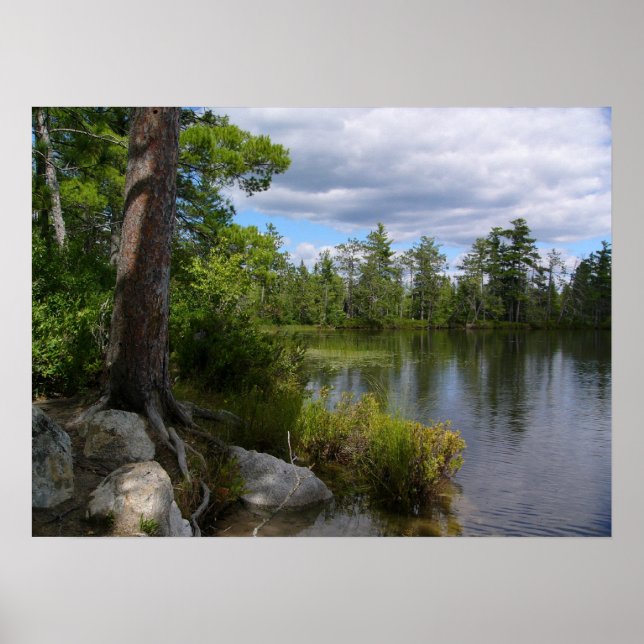 nelligan lake poster (Front)