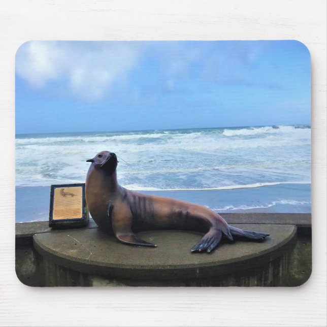 Nelscott Reef, Lincoln City, Oregon Mouse Pad (Front)