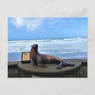 Nelscott Reef, Lincoln City, Oregon Postcard