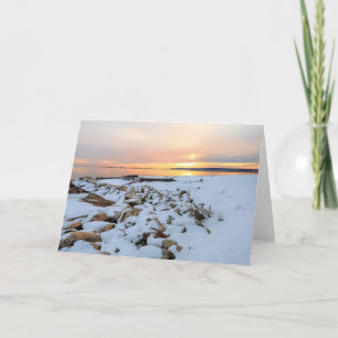 Nelson Park Plymouth Massachusetts Card