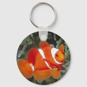 nemo fish key ring
