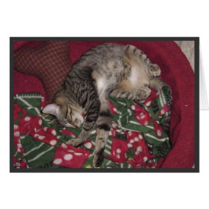 nemo sleeps