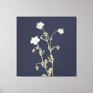 Nemophila Flowers Canvas Print