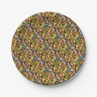 Nemoptera bipennis Spoon-Winged Insect Art Paper Plate