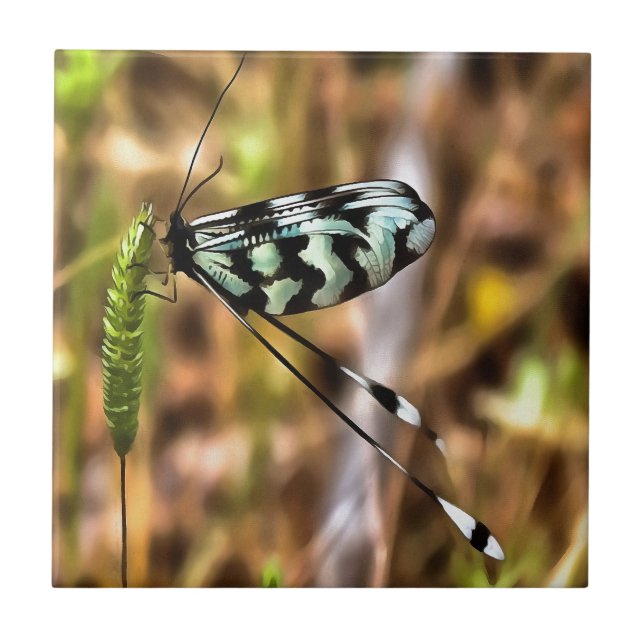Nemoptera bipennis Spoon-Winged Insect Art Tile (Front)