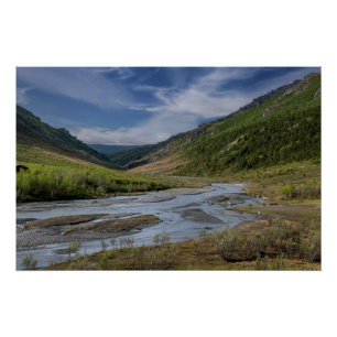 Nenana Riverbed Alaska Poster