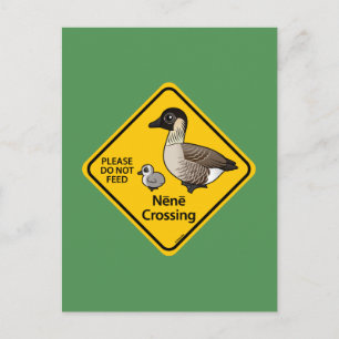Nene Crossing Postcard