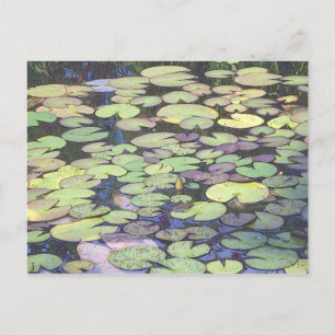 nenhu postcard