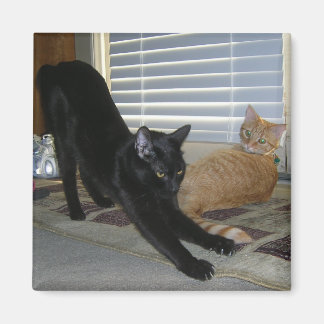 Neo and Isabelle magnet