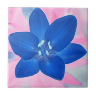 Neon Blue Lily Flower Pink Background Tile