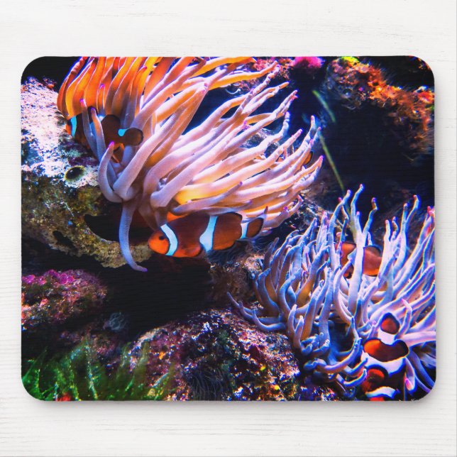 Neon Colours Clown Fishes Mouse Pad (Front)