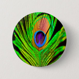 Neon Colours Peacock Feather 6 Cm Round Badge
