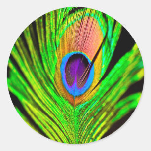 Neon Colours Peacock Feather Classic Round Sticker