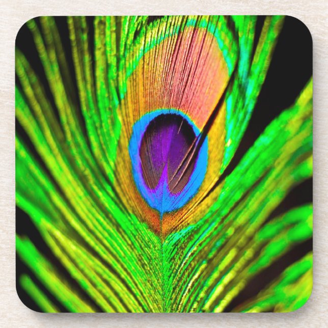 Neon Colours Peacock Feather Coaster (Front)