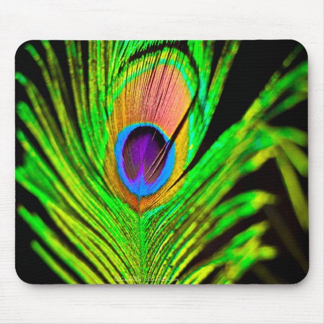 Neon Colours Peacock Feather Mouse Pad (Front)