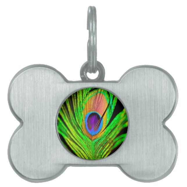 Neon Colours Peacock Feather Pet Name Tag (Front)