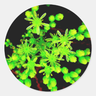 Neon Flower Classic Round Sticker