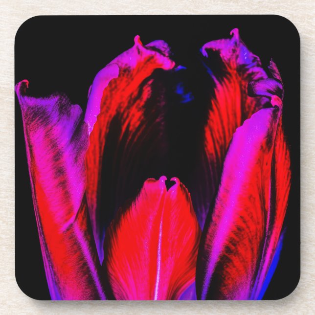 Neon Glow Tulip Coaster (Front)
