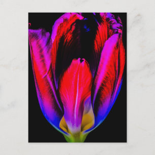 Neon Glow Tulip Postcard