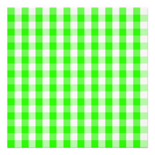 Neon Green Gingham Pattern by Shirley Taylor Photo Print