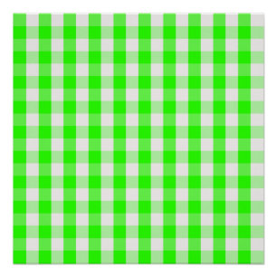 Neon Green Gingham Pattern by Shirley Taylor Poster