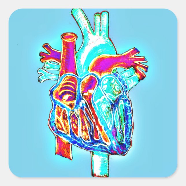 Neon Hand Drawn Anatomical Heart Square Sticker (Front)